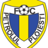 Brulea Petre
