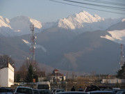 IMG_3059.jpg