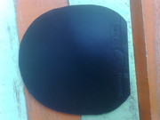 SCam_20130225_140951.jpg