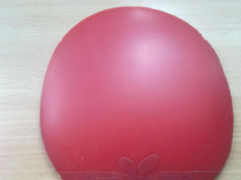 12092012541.jpg