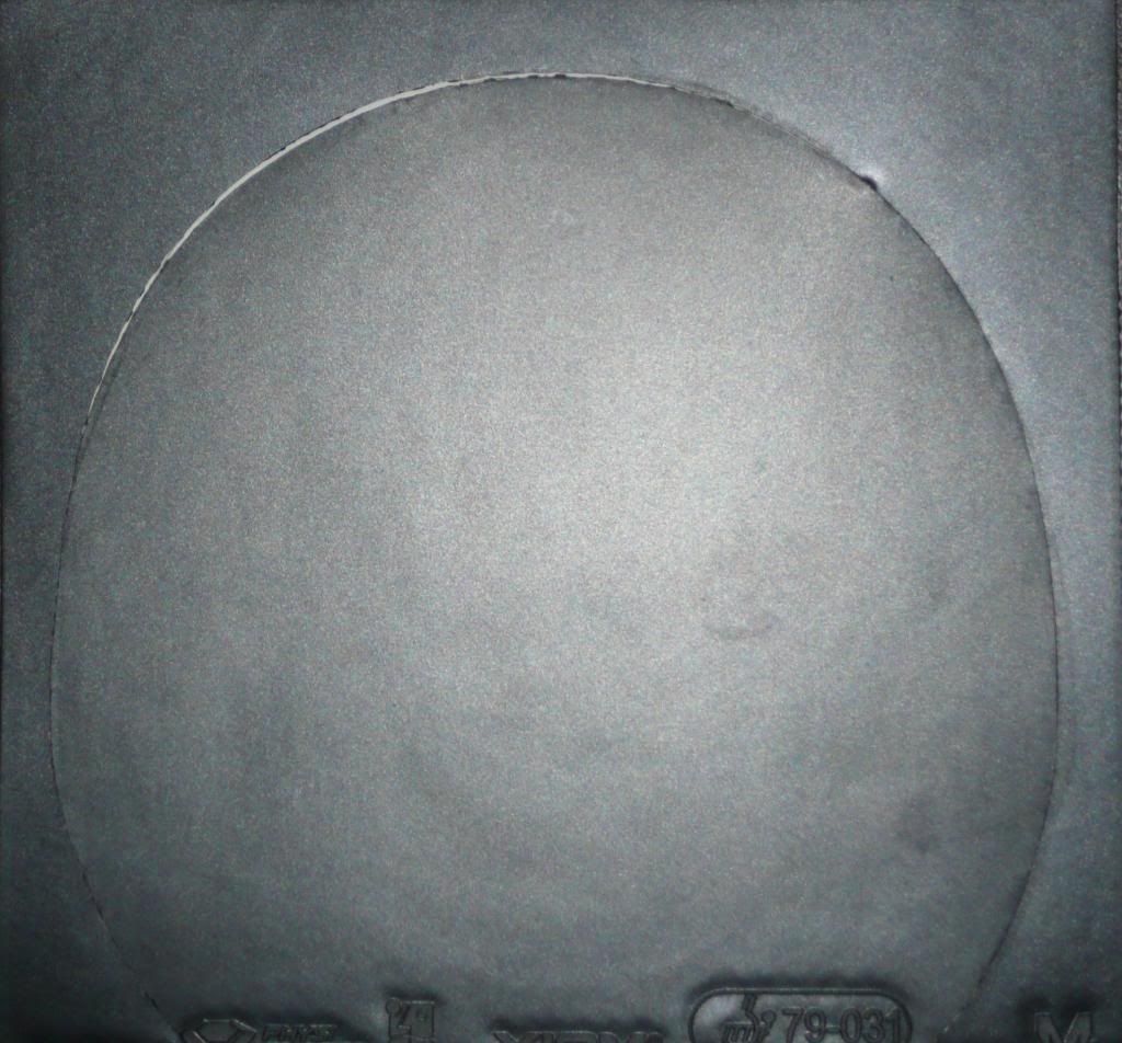 P1320137.jpg