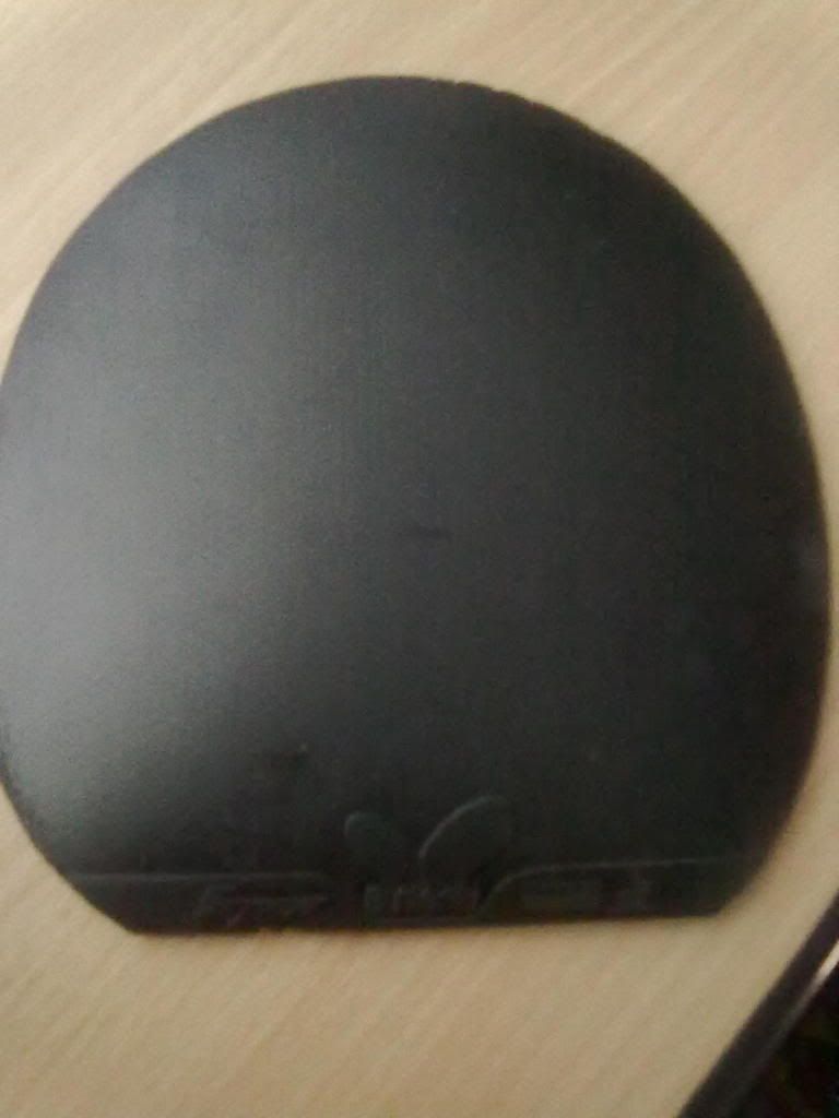 13092012542.jpg